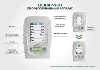 СКЭНАР-1-НТ (исполнение 01)  в Кургане купить Медицинская техника - denasosteo.ru 